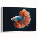Framed canvas wall art collection showcasing vibrant marine life fish designs in a modern white frame, perfect for adding color and style to ocean-themed decor.