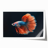 Vibrant marine life wall art collection showcasing diverse fish species in vivid colors, ideal for ocean-themed decor, presented as a rolled print.
