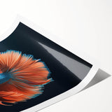 Colorful marine life wall art design featuring various fish and aquatic elements, showcased as a rolled print in a protective cardboard tube. Perfect for ocean-themed decor.