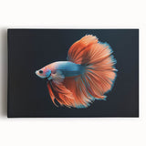 Vibrant stretched canvas wall art showcasing a stunning marine life fish design, perfect for ocean-themed decor, featuring intricate colors and details.