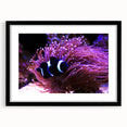 Framed wall art featuring a vibrant marine life fish design in shades of blue, green, and orange, showcasing detailed aquatic patterns and textures, perfect for ocean-themed decor.