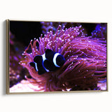 Framed canvas wall art showcasing vibrant marine life fish design, featuring gold accents and a sleek side view, perfect for ocean-themed decor.