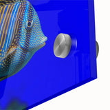 Vibrant close-up of a marine life fish design wall art piece, featuring intricate details and bold colors, printed on acrylic glass for a striking visual effect. Perfect for ocean-themed decor enthusiasts.