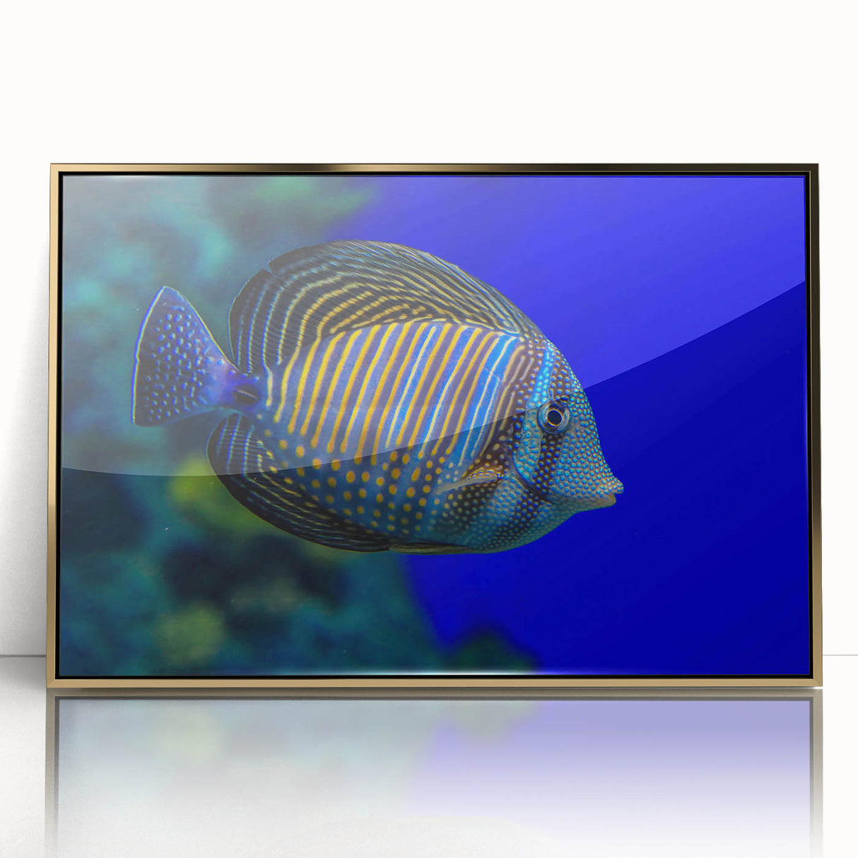 Framed wall art showcasing a marine life fish design with vibrant colors in acrylic and gold accents, perfect for coastal-themed decor.