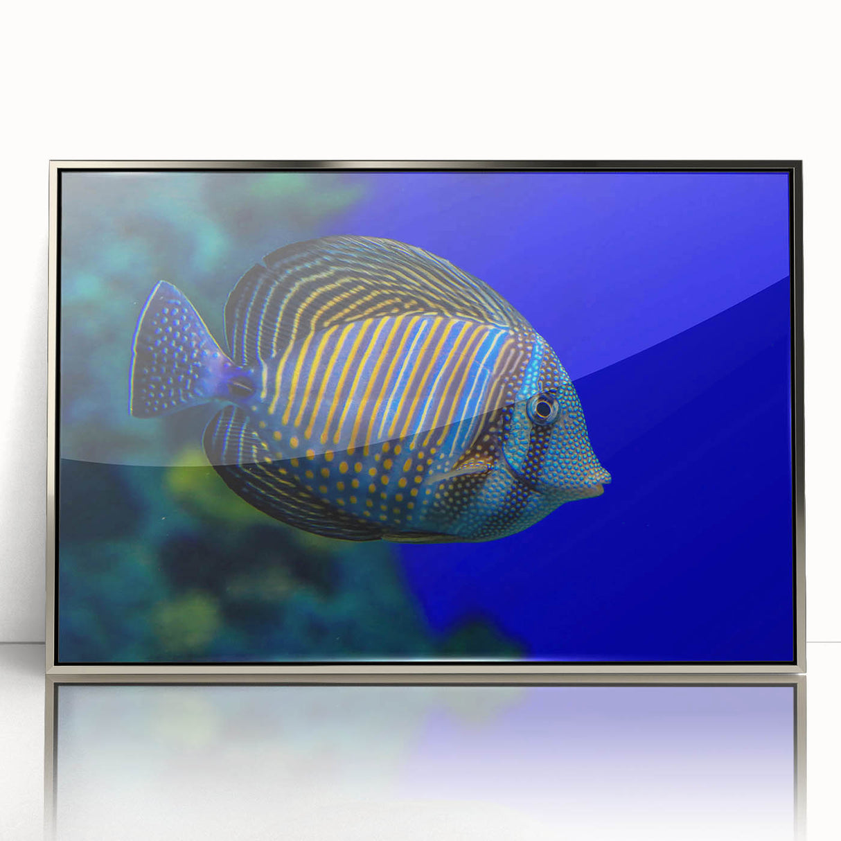 Framed acrylic wall art showcasing a vibrant marine life fish design, featuring intricate details and a silver frame, perfect for ocean-themed decor.