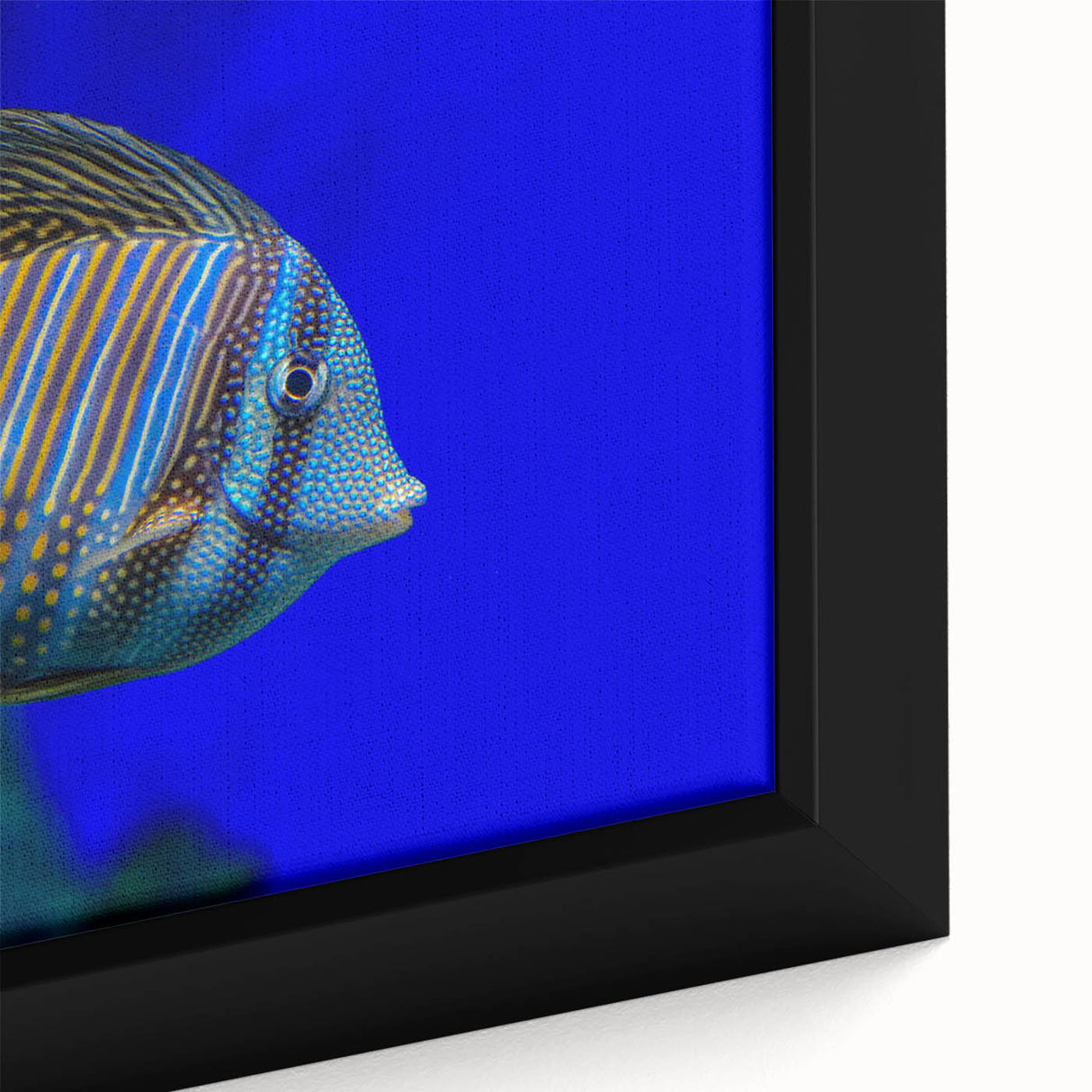 Close-up of a framed canvas featuring a vibrant marine life fish design, showcasing intricate details of colorful fish against a serene blue background, perfect for ocean-themed decor.
