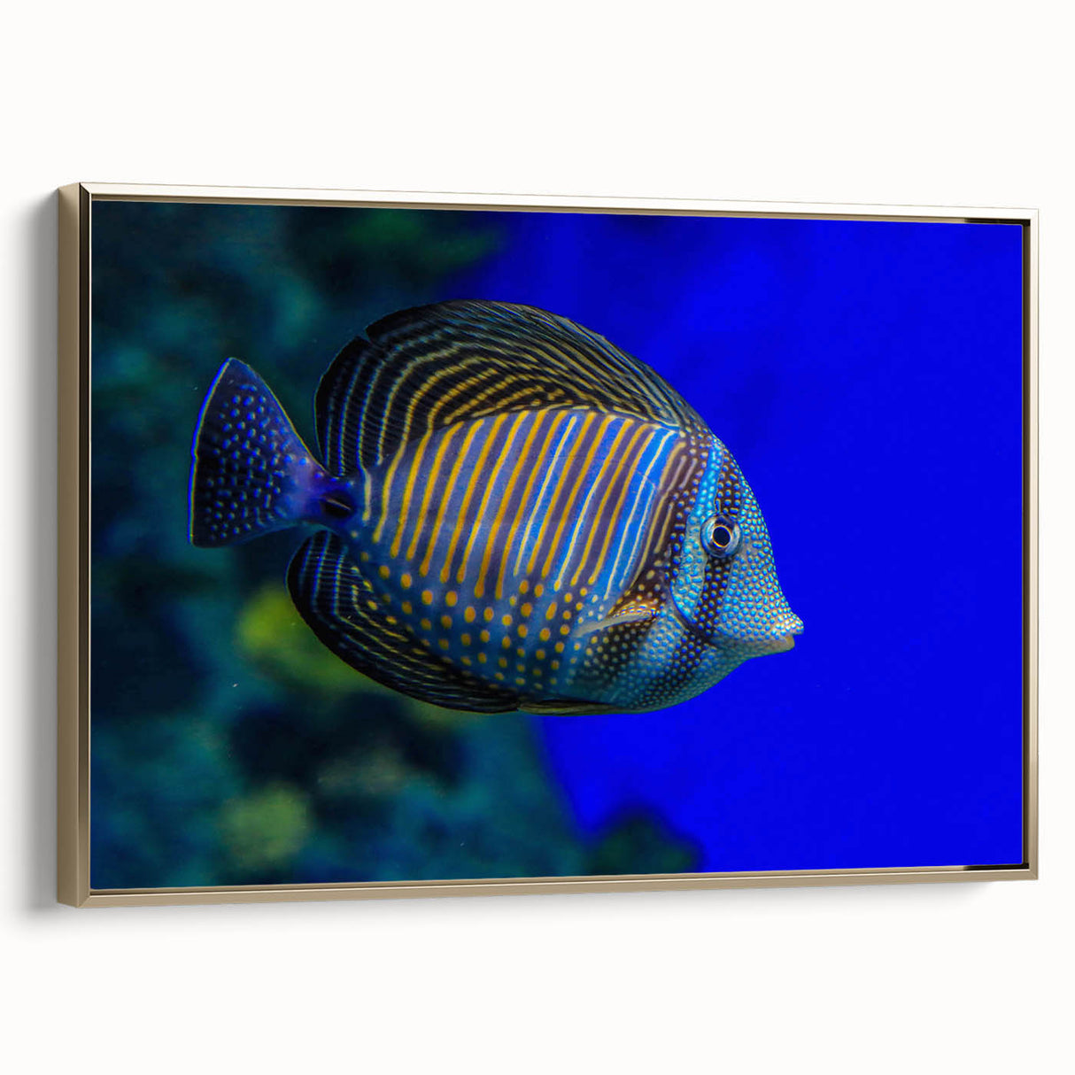 Framed canvas artwork showcasing a vibrant marine life fish design in gold hues, perfect for adding a touch of oceanic elegance to any home decor.