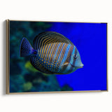 Framed canvas artwork showcasing a vibrant marine life fish design in gold hues, perfect for adding a touch of oceanic elegance to any home decor.