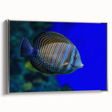 Framed canvas wall art showcasing a vibrant marine life fish design in silver frame, perfect for adding a contemporary touch to coastal home decor.