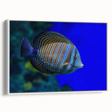 Framed canvas wall art featuring a vibrant marine life design with various colorful fish, displayed against a white background to enhance visual appeal. Perfect for ocean-themed decor.