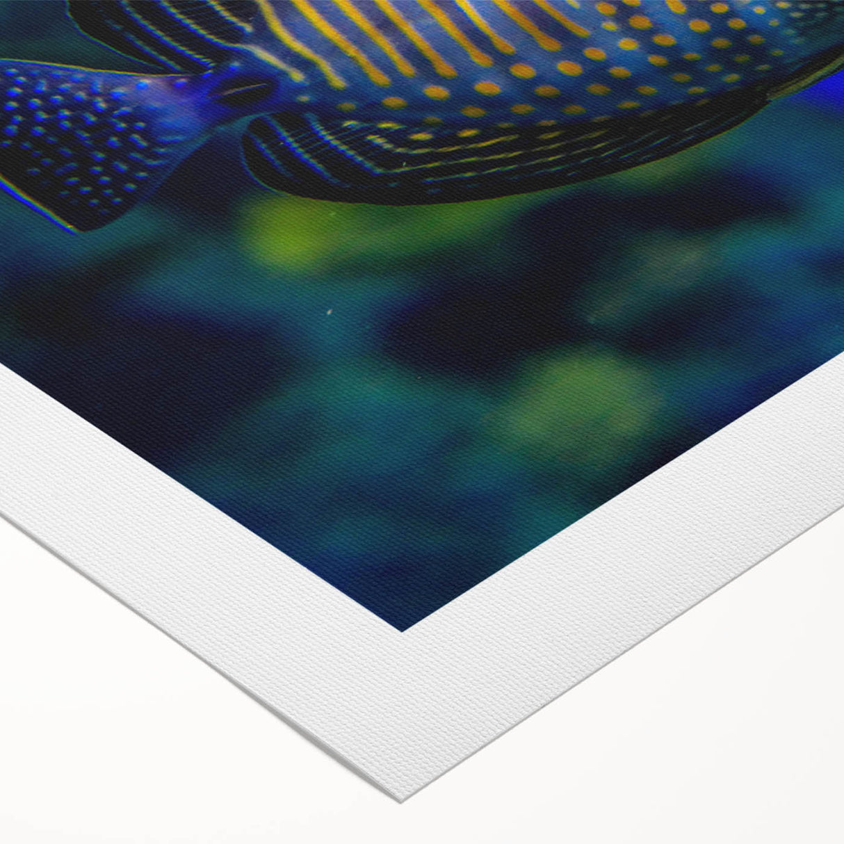 Vibrant marine life wall art design on a rolled canvas, showcasing colorful fish and ocean elements, perfect for enhancing coastal-themed decor.