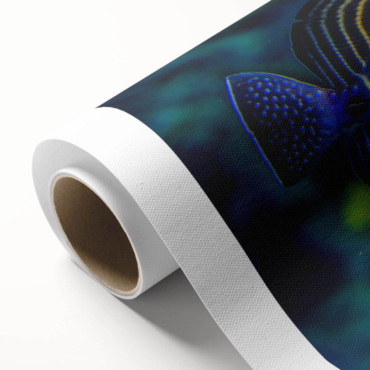 Vibrant rolled canvas featuring a marine life fish design collection, showcasing colorful aquatic species on a textured surface, perfect for ocean-themed decor.