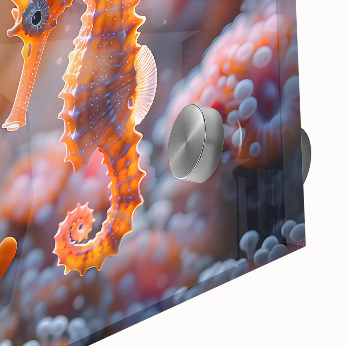 Close-up of vibrant marine life wall art featuring colorful fish designs on acrylic glass, showcasing intricate details and vivid colors perfect for ocean-themed decor.