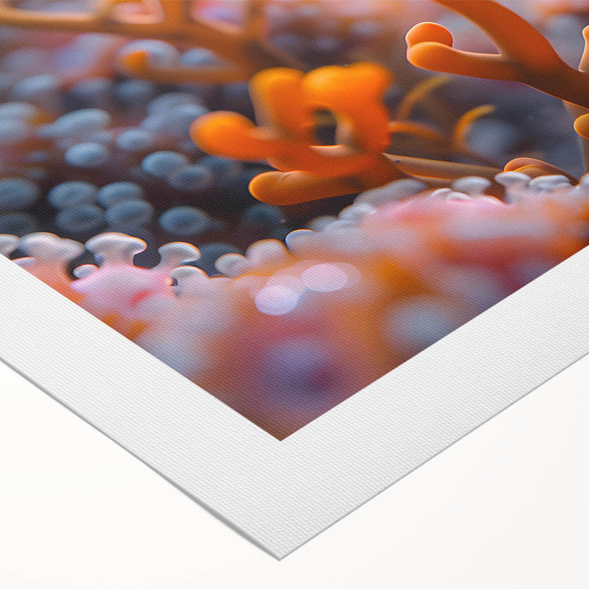 Vibrant rolled canvas artwork showcasing a colorful marine life fish design, perfect for ocean-themed decor. Ideal for enhancing any living space or office.