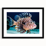 Framed wall art showcasing a vibrant marine life fish design, featuring a black frame and mat, perfect for enhancing aquatic-themed decor in homes or offices.