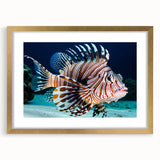 Elegant wall art featuring a marine life fish design in a gold frame, showcasing vibrant colors and intricate details, perfect for enhancing coastal decor.