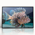 Framed wall art showcasing a vibrant marine life fish design in an elegant black frame, perfect for ocean-themed decor or aquatic enthusiasts. The acrylic front highlights the intricate details and colors of the fish, creating a stunning focal point for any room.