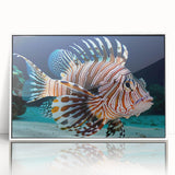 Framed wall art featuring a marine life fish design with vibrant colors, displayed in a sleek white frame, perfect for ocean-themed decor in living spaces.