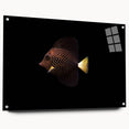 Acrylic glass wall art featuring a vibrant marine life fish design, showcasing colorful aquatic species in a side view, enhanced with decorative pins for a dynamic display. Ideal for ocean-themed decor.