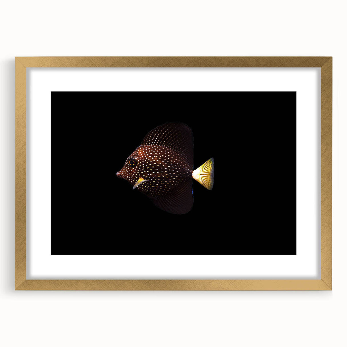 Framed wall art featuring a vibrant marine life fish design, adorned with a gold frame and mat, showcasing a colorful underwater scene perfect for home decor.