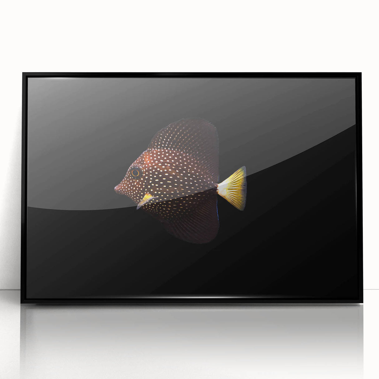 Framed acrylic wall art featuring a vibrant marine life fish design with a black border, ideal for ocean-themed decor, enhancing any room's ambiance.