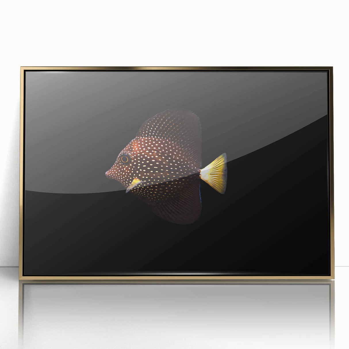 Framed wall art featuring a vibrant marine life fish design with gold accents, showcasing a colorful underwater scene perfect for ocean-themed decor.