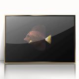 Framed wall art featuring a vibrant marine life fish design with gold accents, showcasing a colorful underwater scene perfect for ocean-themed decor.