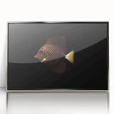 Framed wall art piece showcasing a vibrant marine life fish design with intricate details, set in a sleek silver frame, perfect for aquatic-themed decor.
