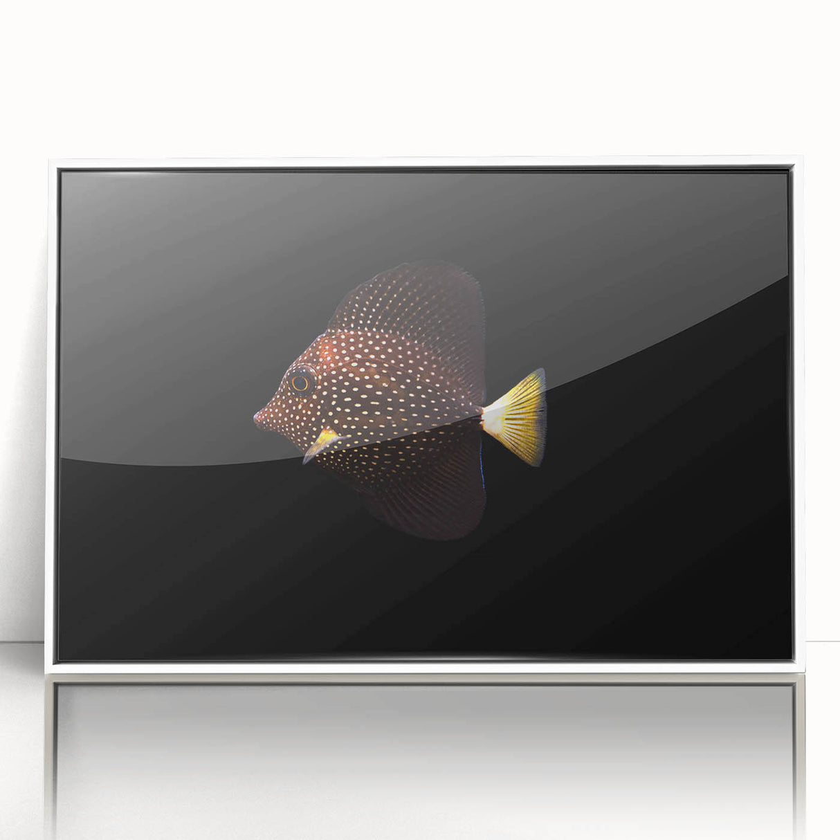 Framed acrylic wall art showcasing vibrant marine life fish design, featuring a white border and modern aesthetic, perfect for ocean-themed decor.