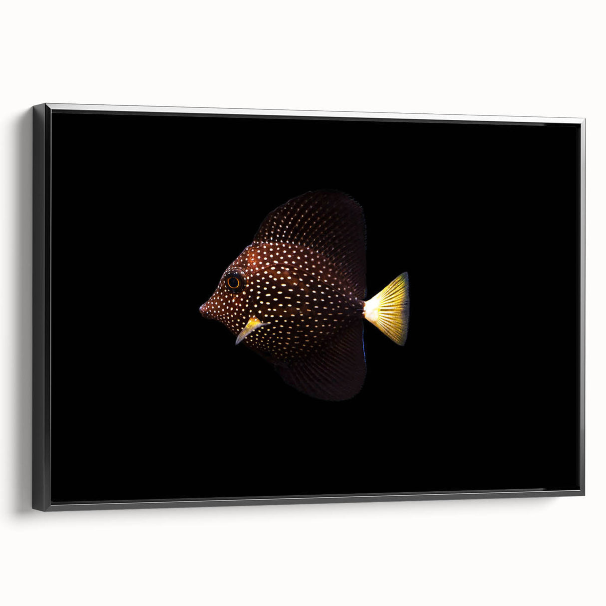 Framed canvas wall art showcasing an intricate marine life fish design on a black background, highlighting vibrant colors and detailed textures. Perfect for ocean-themed decor.