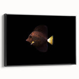 Framed canvas wall art showcasing an intricate marine life fish design on a black background, highlighting vibrant colors and detailed textures. Perfect for ocean-themed decor.