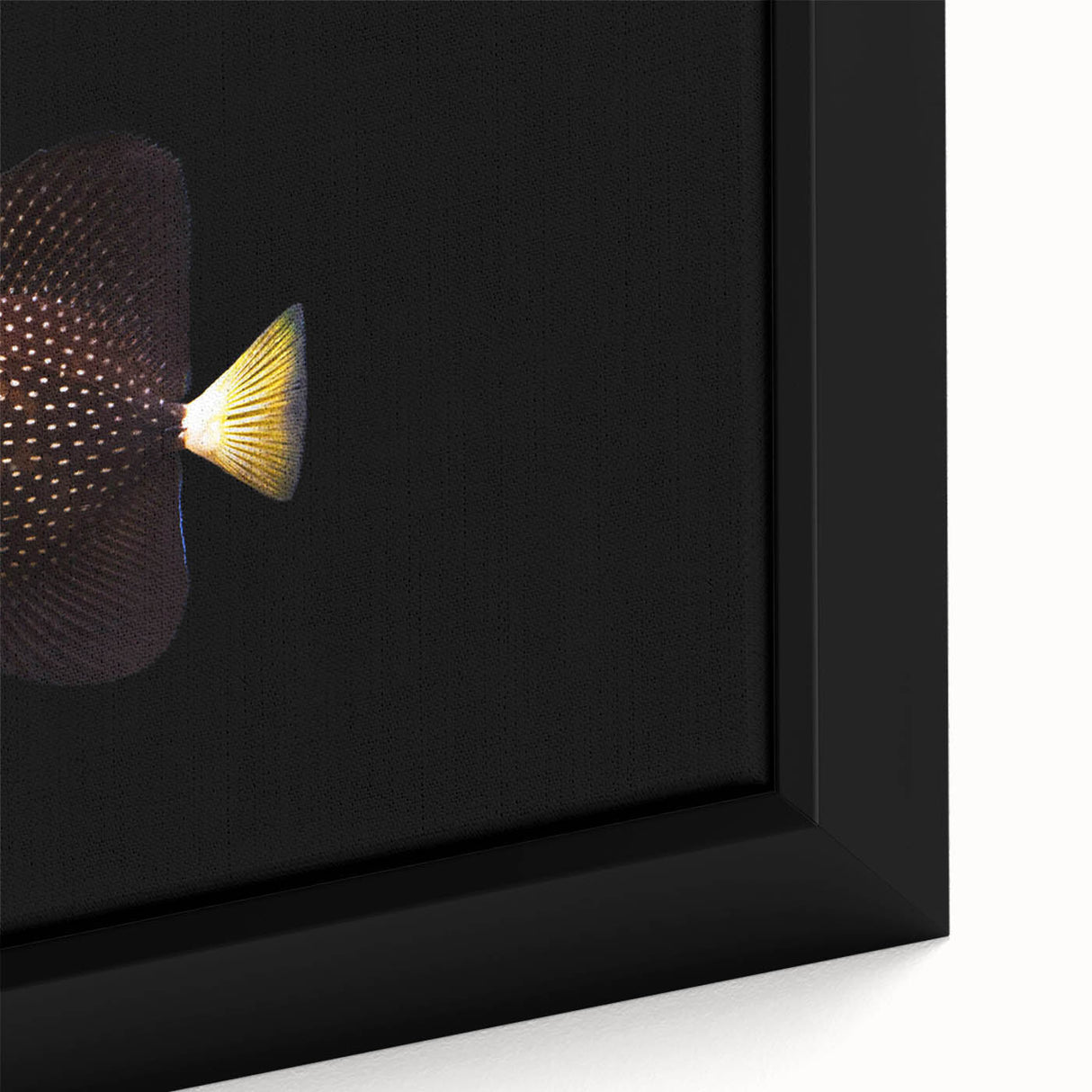 Framed canvas wall art showcasing a vibrant marine life fish design, featuring colorful tropical fish against a deep blue background, ideal for ocean-themed decor.