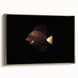 Framed canvas wall art showcasing a vibrant marine life fish design with intricate details and a gold frame, perfect for ocean-themed decor in any setting.