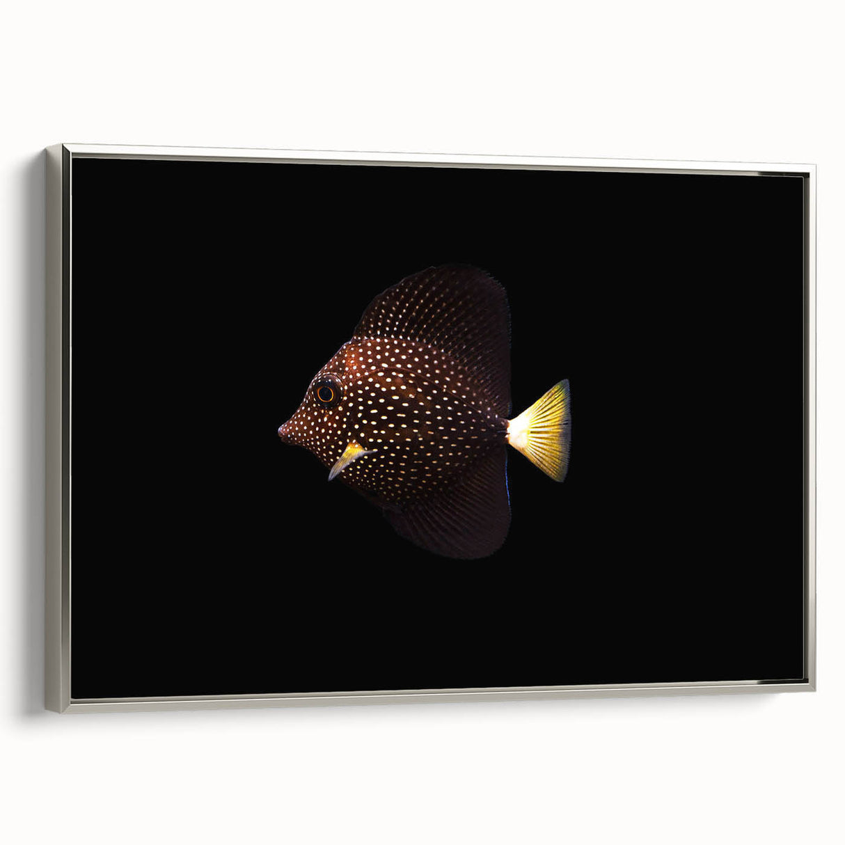 Framed canvas wall art showcasing a vibrant marine life fish design in silver, perfect for ocean-themed decor, enhancing any living space with color and elegance.
