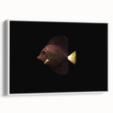 Framed wall art depicting a vibrant marine life fish design, showcasing colorful aquatic species on a white background, ideal for ocean-themed decor.