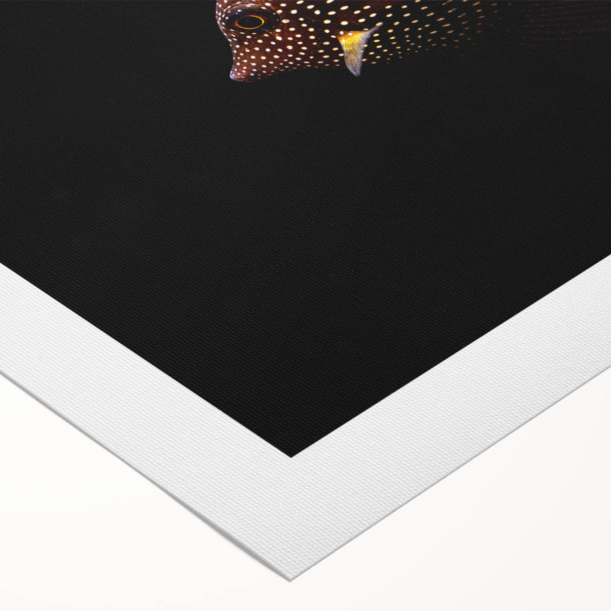Vibrant rolled canvas print showcasing a colorful marine life fish design, perfect for ocean-themed decor. Ideal for enhancing living spaces with a touch of nature.