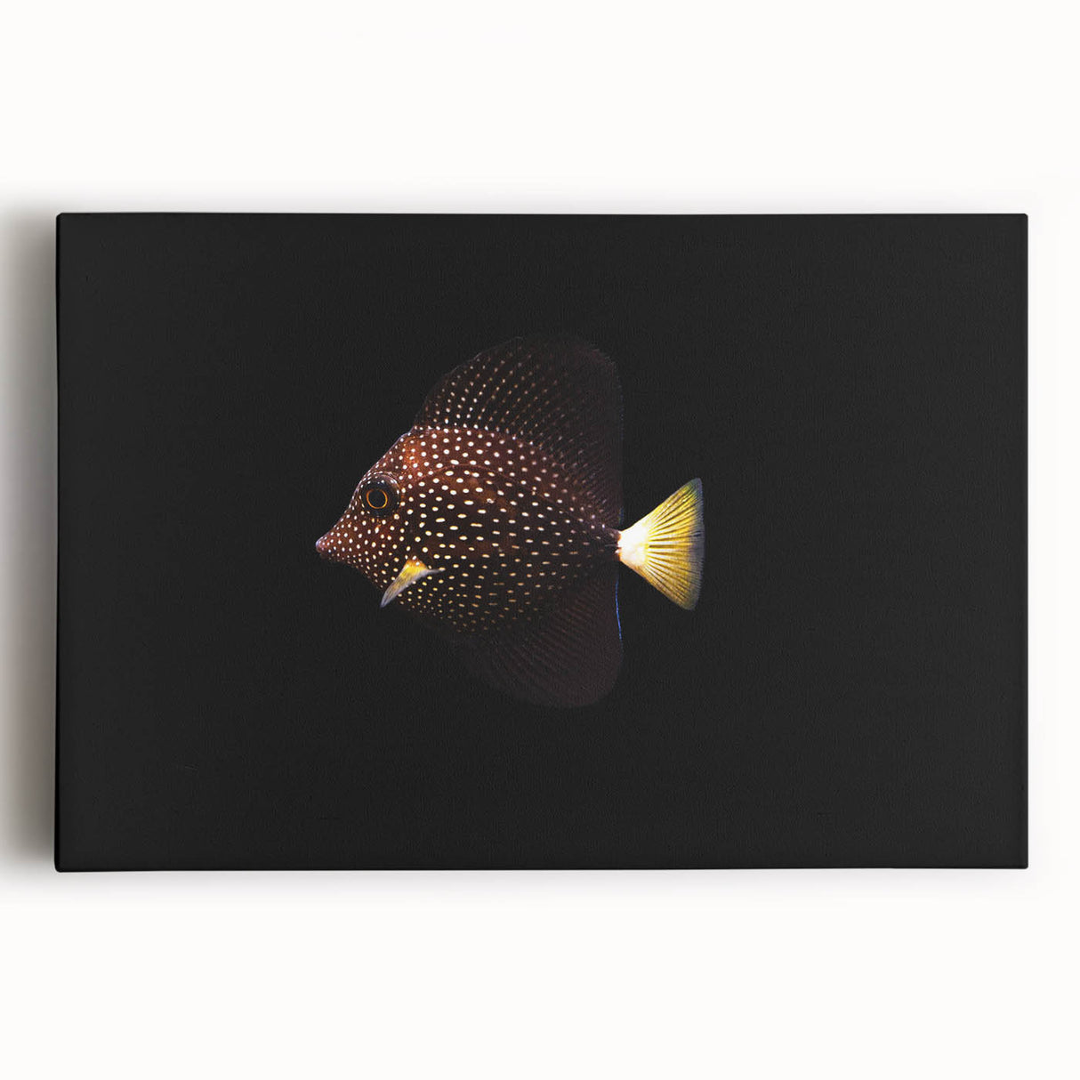 Vibrant marine life canvas wall art featuring colorful fish and coral designs, ideal for beach-themed decor, showcasing intricate details and vivid colors.