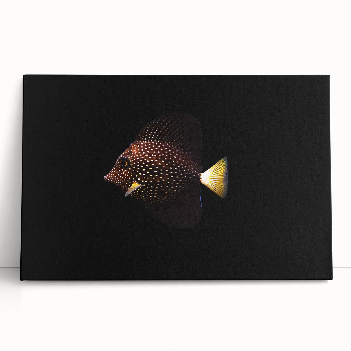 Vibrant marine life wall art design featuring a variety of colorful fish on stretched canvas, perfect for enhancing coastal-themed decor or aquatic spaces.