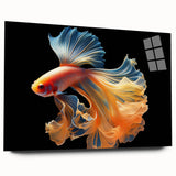 Colorful marine life wall art collection featuring a vibrant fish design printed on acrylic glass, displayed from a side view, perfect for ocean-themed decor.