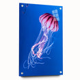 Acrylic wall art showcasing a vibrant jellyfish design, elegantly displayed with pins on a white background, perfect for marine-themed decor.