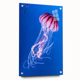 Acrylic wall art showcasing a vibrant jellyfish design, elegantly displayed with pins on a white background, perfect for marine-themed decor.