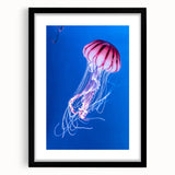 Framed wall art featuring a vibrant jellyfish design in shades of blue and purple, set against a black background, ideal for marine life enthusiasts and modern decor.