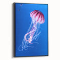 Framed canvas wall art featuring a vibrant jellyfish design in shades of blue and purple, set against a sleek black frame, perfect for marine life enthusiasts.