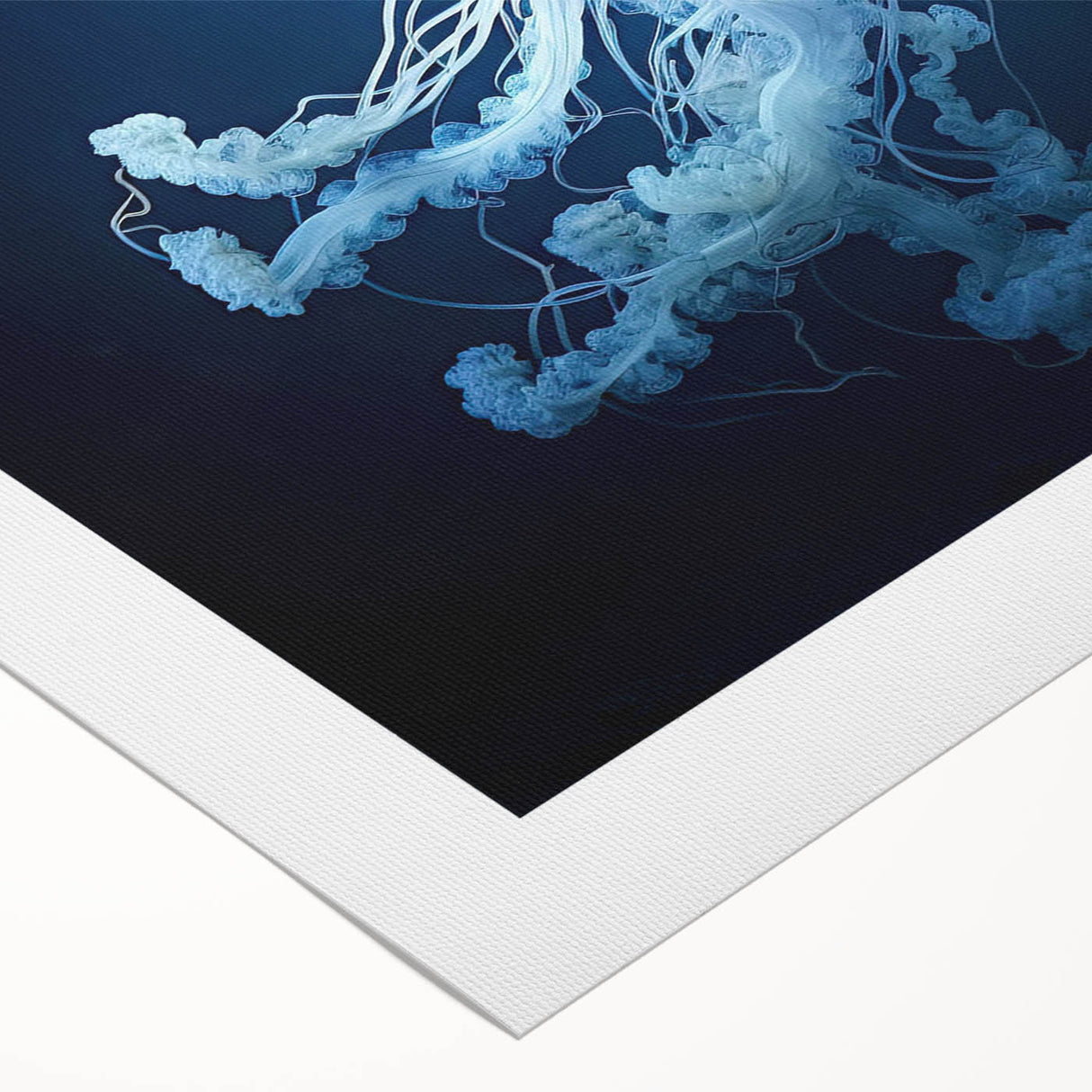 Vibrant jellyfish wall art design on rolled canvas, showcasing intricate details and vivid colors, perfect for marine life enthusiasts and home decor.