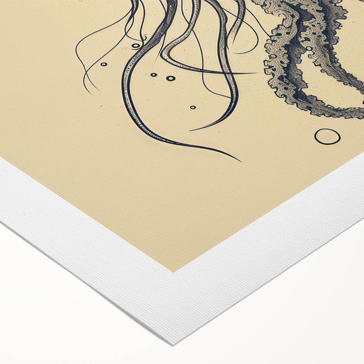 Colorful jellyfish wall art design on rolled canvas showcases vibrant marine life, perfect for ocean-themed decor. Ideal for aquatic enthusiasts and art lovers.