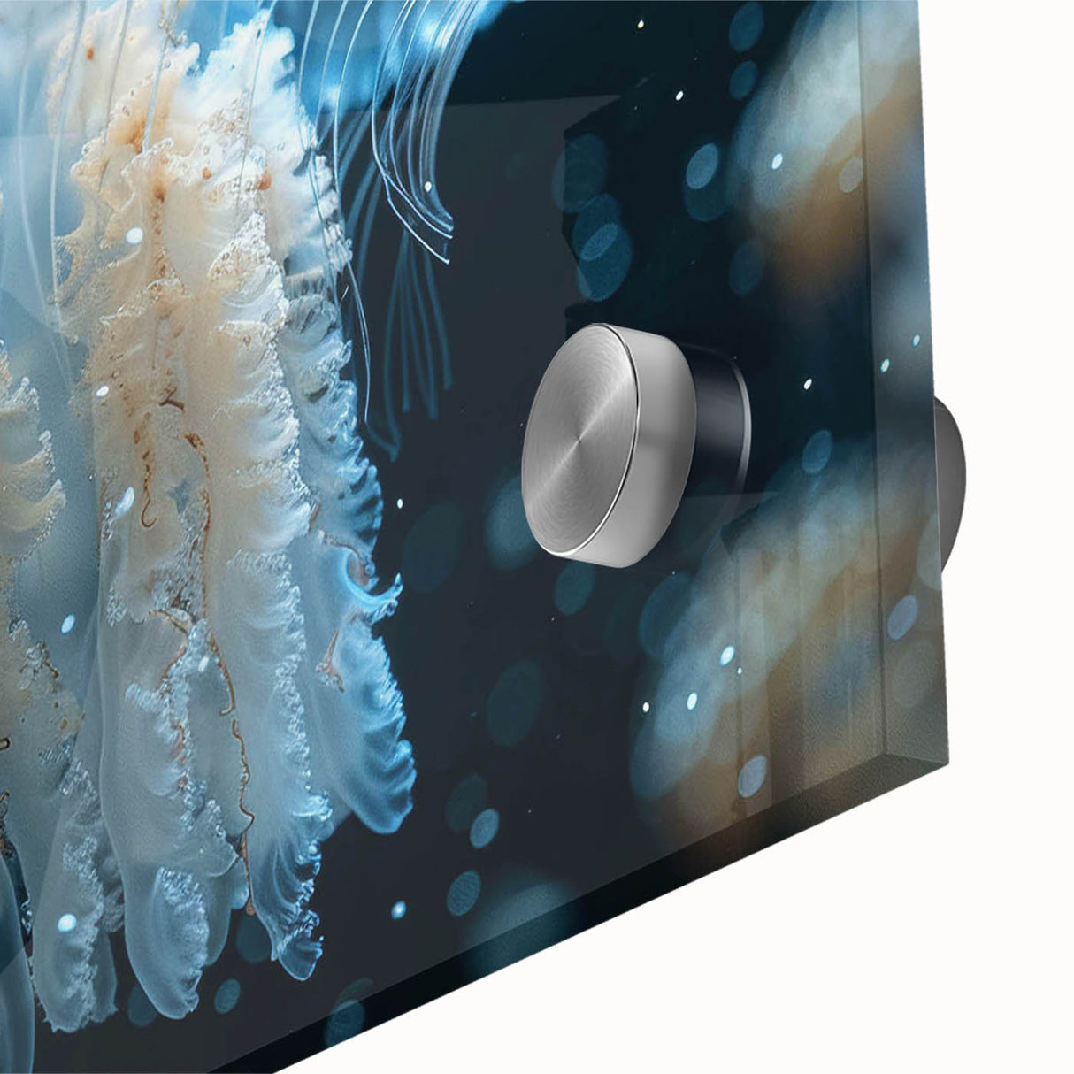 Close-up of a vibrant jellyfish wall art design, showcasing intricate details and colors, printed on acrylic glass for a stunning marine life decor piece.