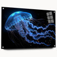 Colorful jellyfish wall art collection displayed in acrylic glass, showcasing intricate marine life design with vibrant hues, ideal for ocean-themed decor.