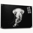 Acrylic wall art collection showcasing a stunning jellyfish design in vibrant colors, displayed with pins on a side view, perfect for marine-themed decor.