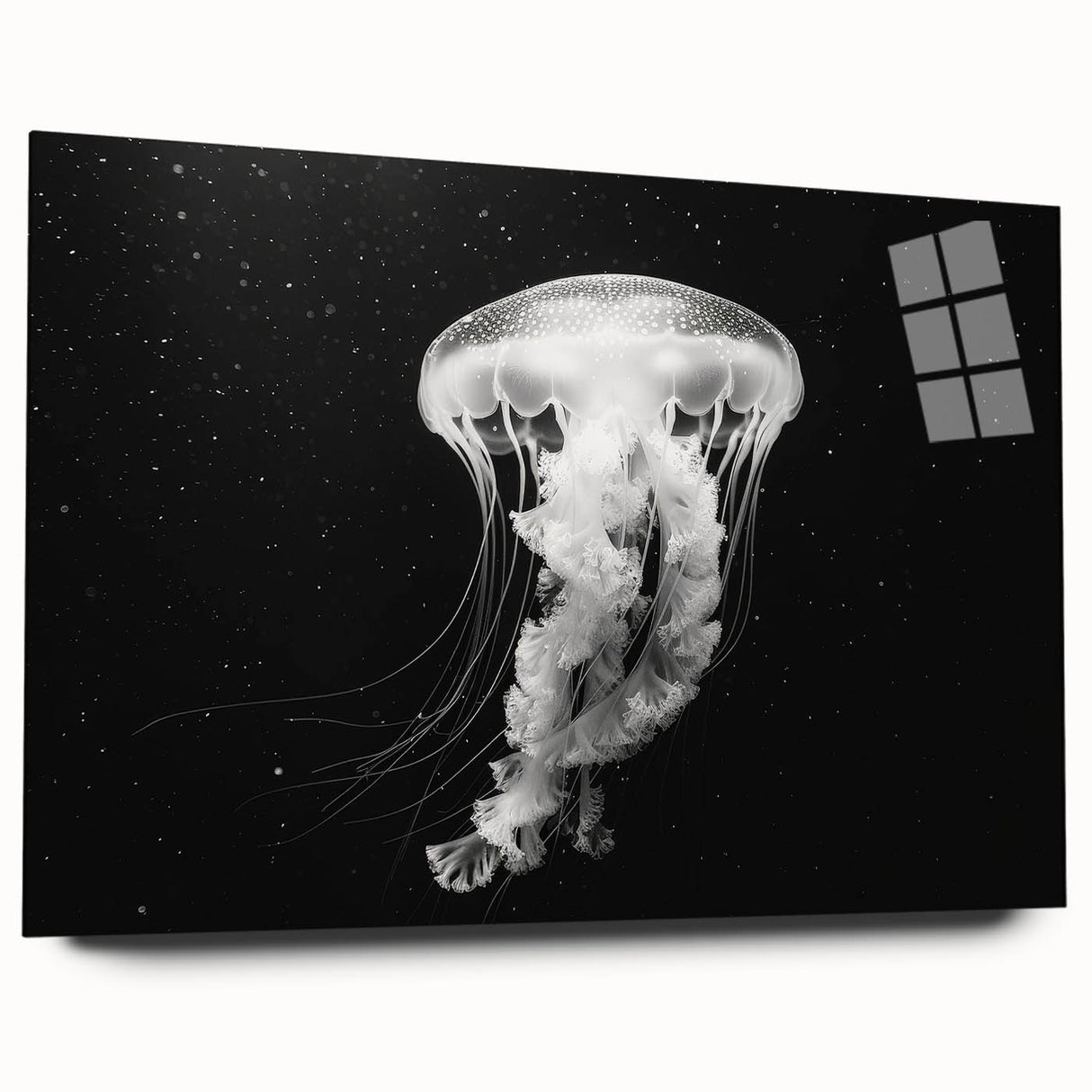 Vibrant jellyfish wall art design displayed in acrylic glass, showcasing colorful marine life in a contemporary setting, perfect for ocean-themed decor.