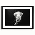 Framed wall art collection showcasing a vibrant jellyfish design in shades of blue and pink, featuring a sleek black frame and a white mat, perfect for marine life enthusiasts.